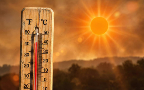 Emergenza caldo: raccolta rifiuti spostata nel tardo pomeriggio