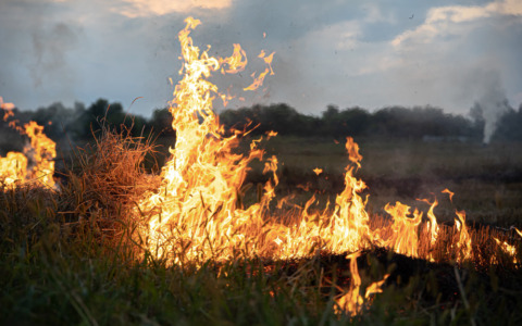Incendi, stop agli abbruciamenti fino al 13 settembre
