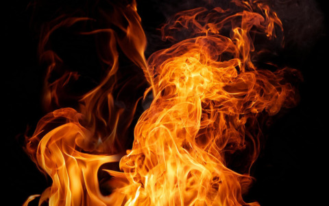 Trattore in fiamme: oliveta distrutta