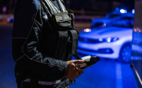 Cinghiali invadono le abitazioni: danni e paura tra i residenti