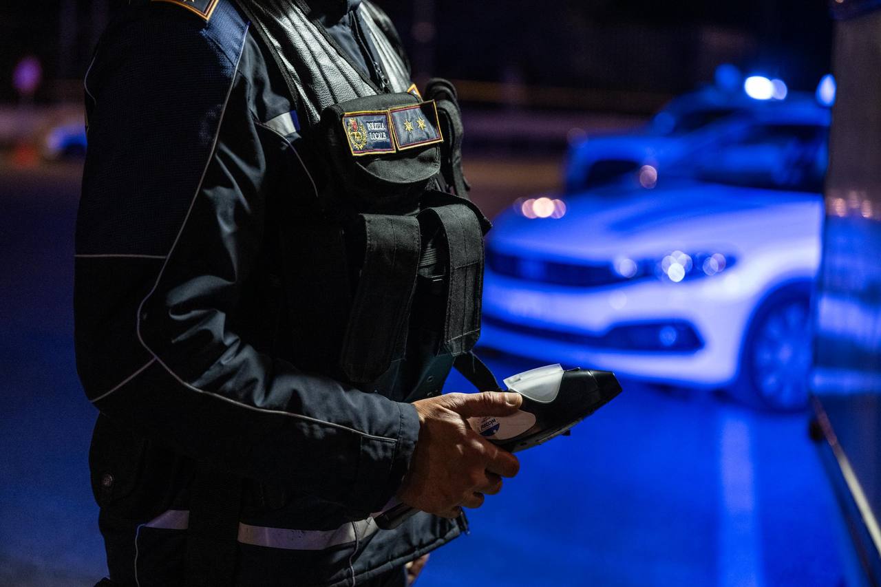 Cinghiali invadono le abitazioni: danni e paura tra i residenti