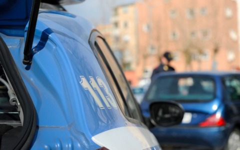Cinghiali catturati con gabbie nei centri abitati