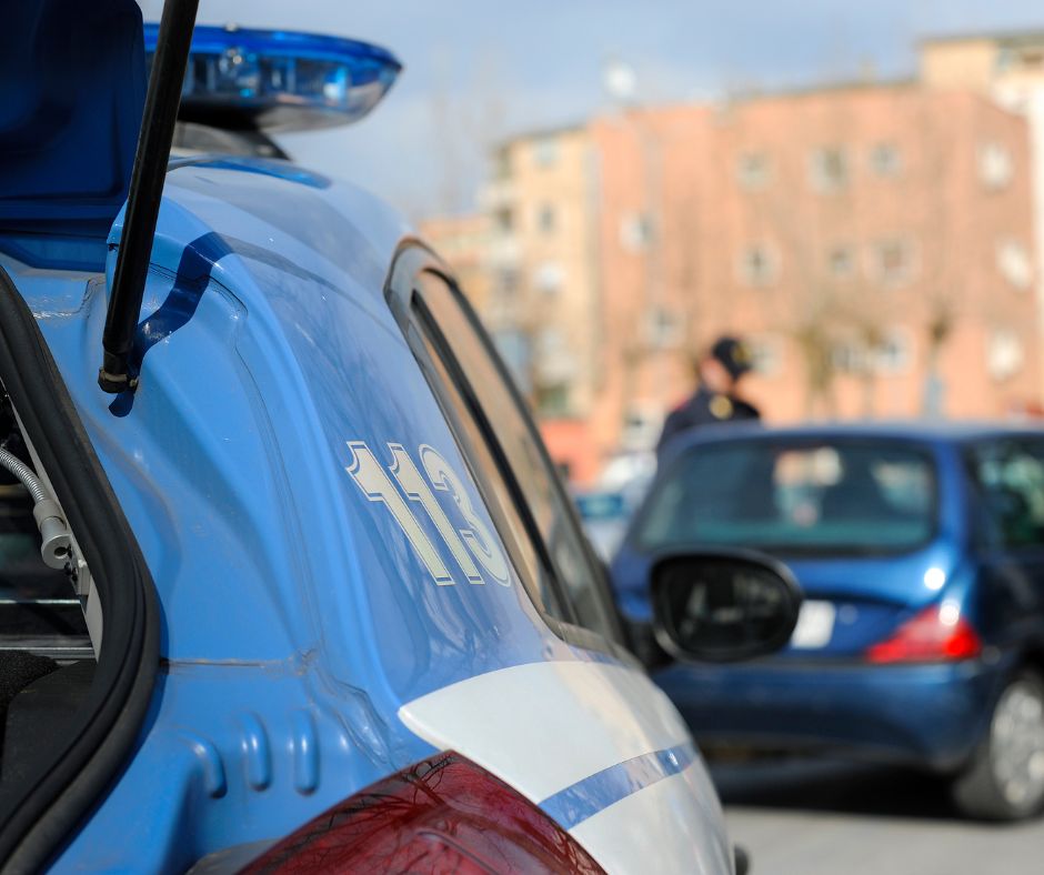 Cinghiali catturati con gabbie nei centri abitati